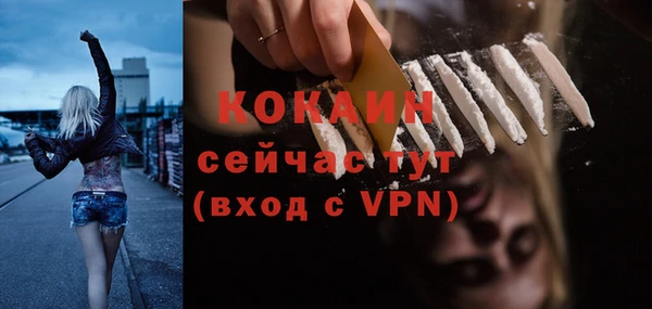 соль ск Волосово