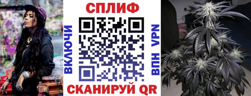 kraken зеркало  Карачаевск  Бошки марихуана тримм 